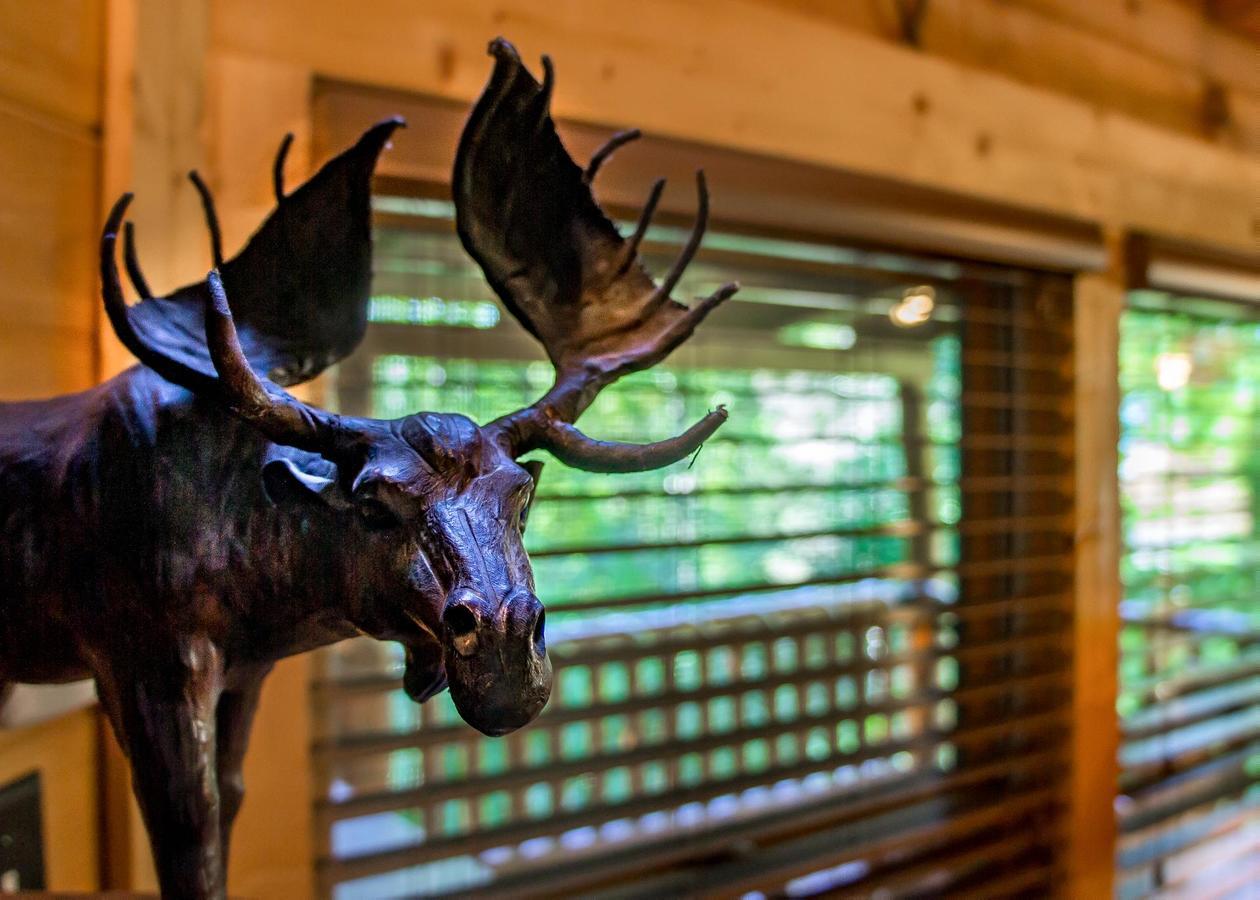 Bearfoot Inn #35 Sevierville Dış mekan fotoğraf